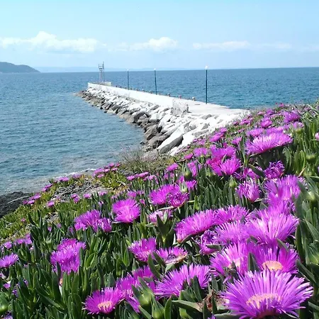 In Bb - Welcome To Petunia, In Neos-marmaras,xalkidiki ,greece, Triple 6 *
